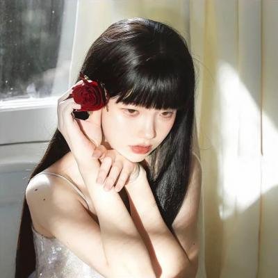 二呆流浪记之完全大人手册