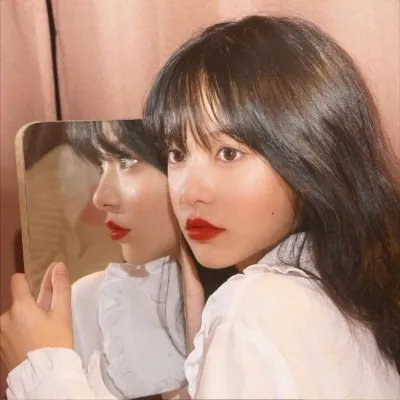 群狗逐狮